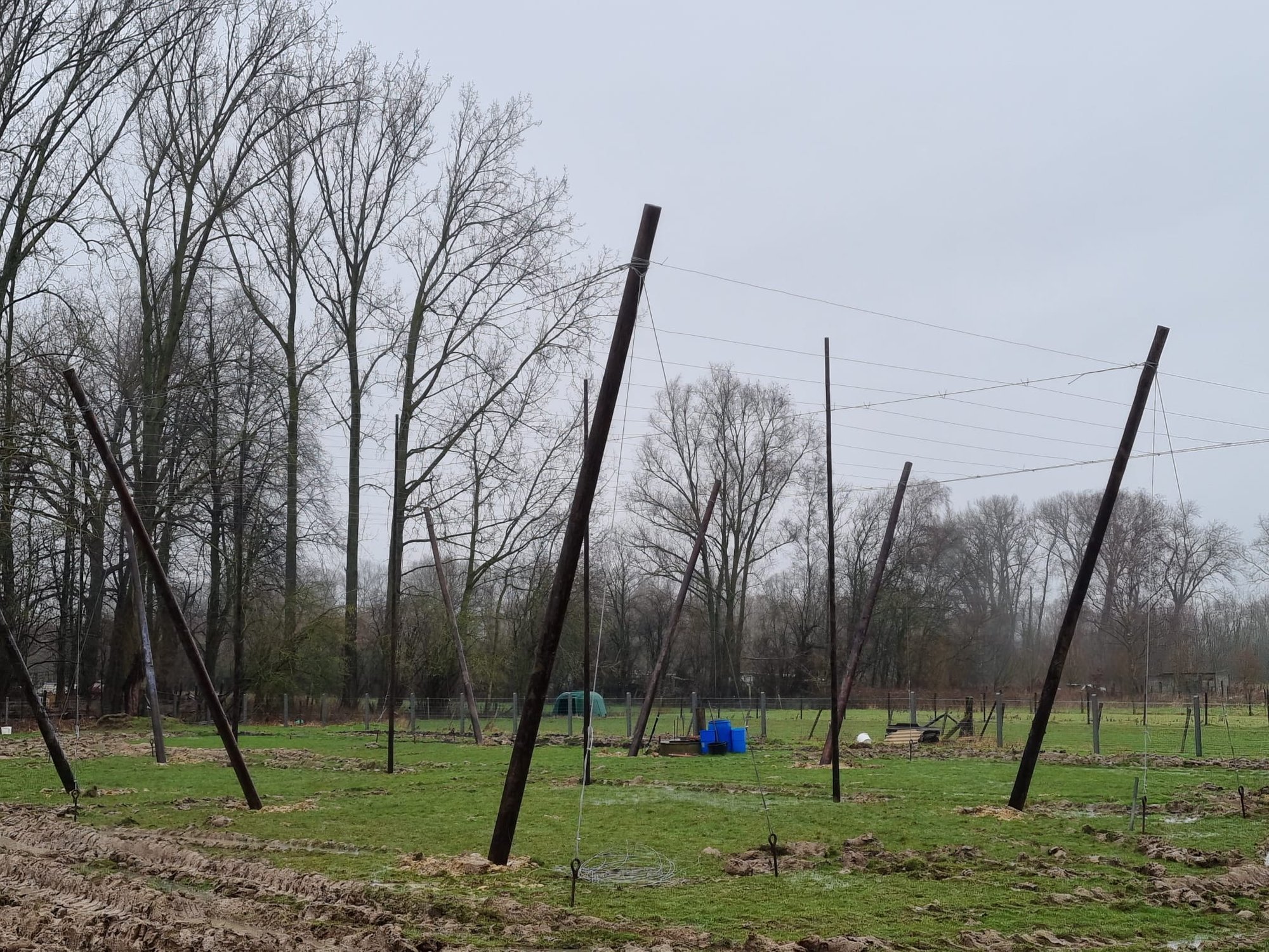 Aanleg hopveld Aanleg hopveld