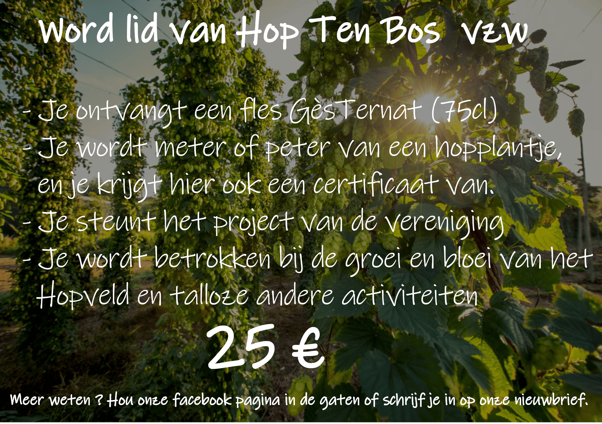 flyer lidmaatschap2 flyer lidmaatschap2